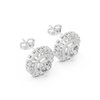 Luxurious Double Layer Halo Earrings